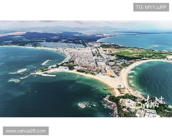 极限运动战术解析深圳极限运动队快攻体系的创新与实践