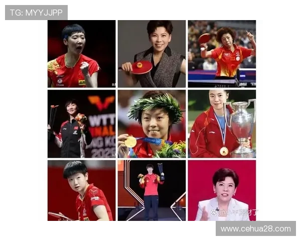 乒乓球意识排行榜揭晓北京乒乓球队荣登第九名引发热议