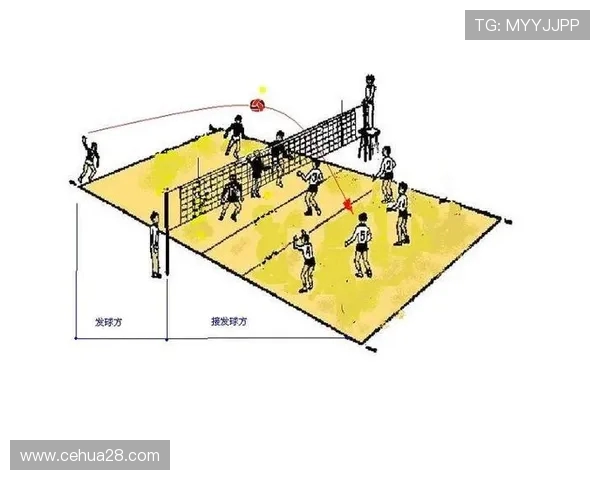南京排球队反击体系解析与战术创新探讨